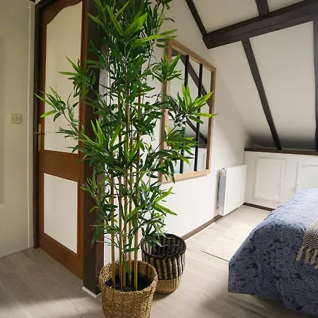 Апартаменты 